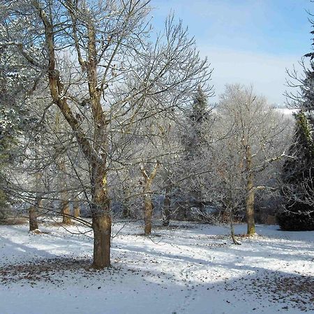 Chambres D'Hotes Le Chalet Condat-sur-Vienne Esterno foto