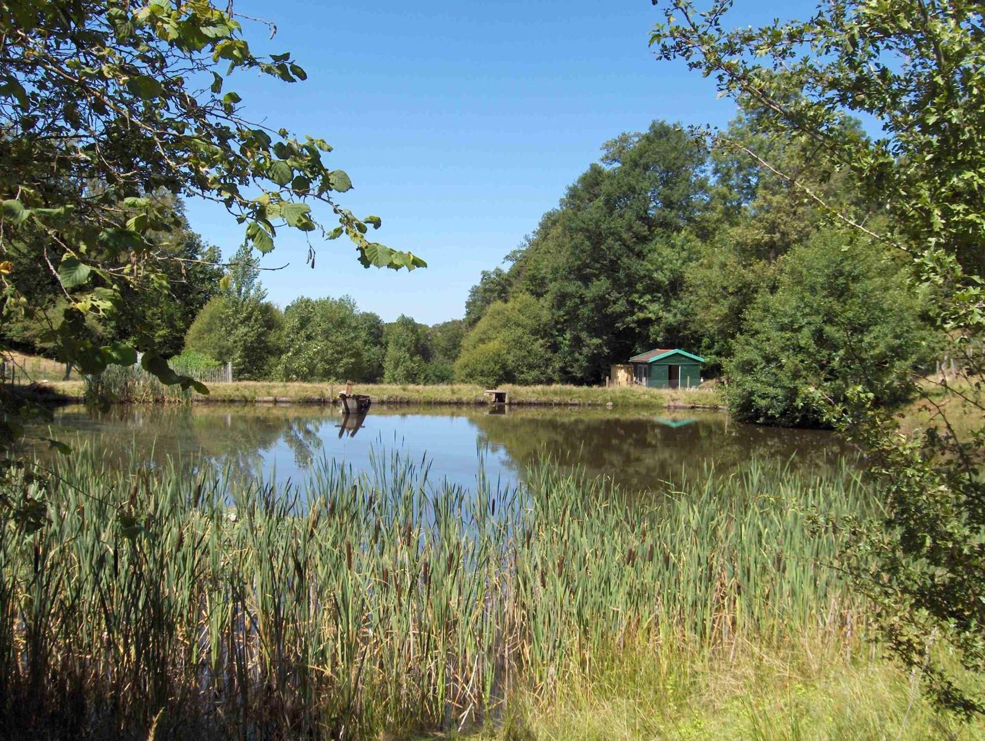 Chambres D'Hotes Le Chalet Condat-sur-Vienne Esterno foto
