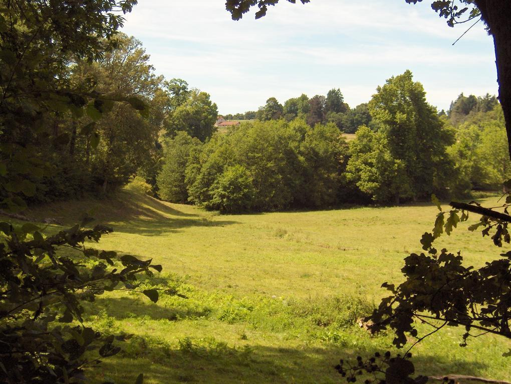 Chambres D'Hotes Le Chalet Condat-sur-Vienne Esterno foto
